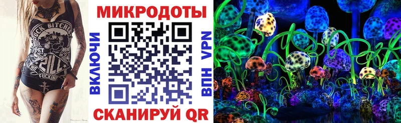 Псилоцибиновые грибы прущие грибы  дарнет шоп  Заволжье 